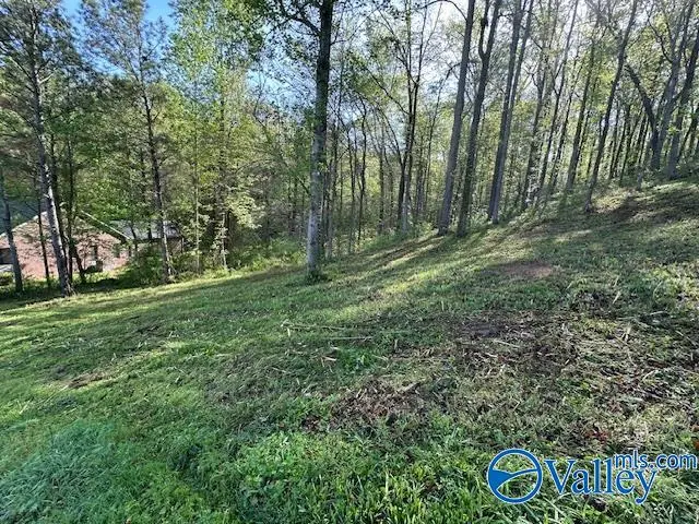 Lot 28 Hualapai Lane, Guntersville, AL 35976 - #3