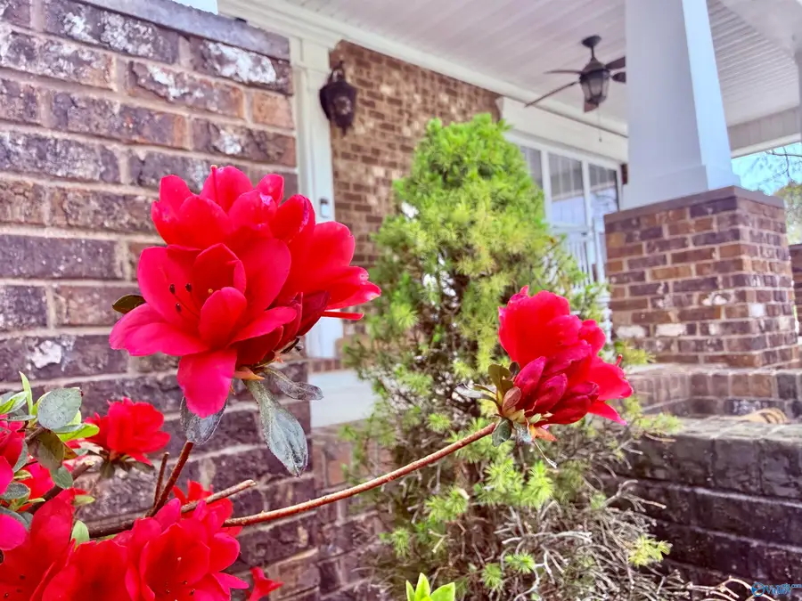 908 Rhodes Street, Hartselle, AL 35640 - #2