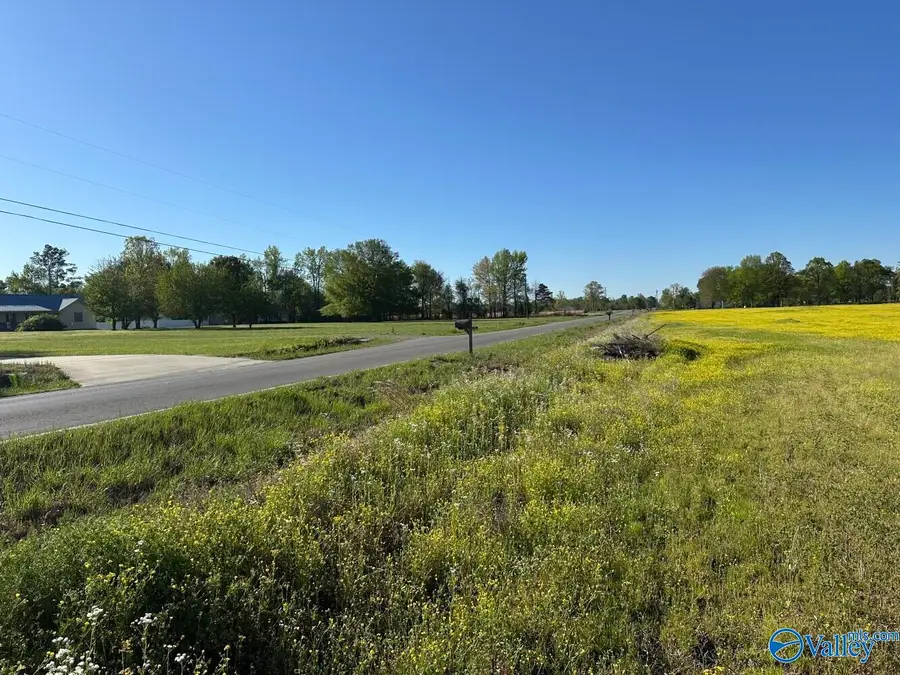 77 Acres Parker Road, Athens, AL 35611 - #3