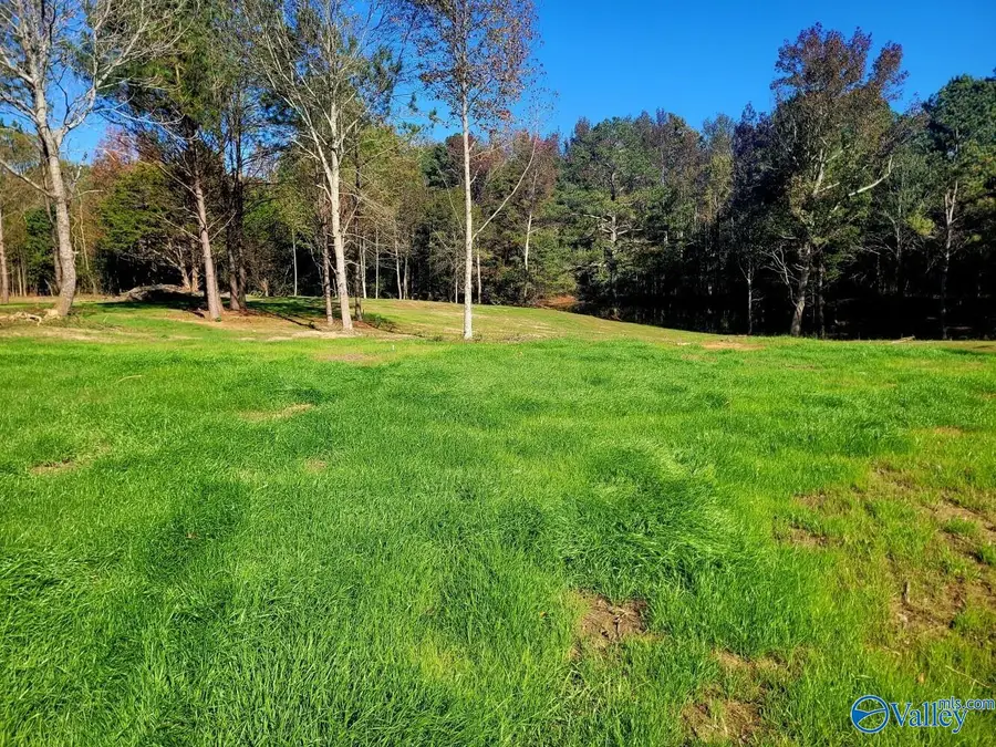 484 Naples Lane, Arab, AL 35016 - #2