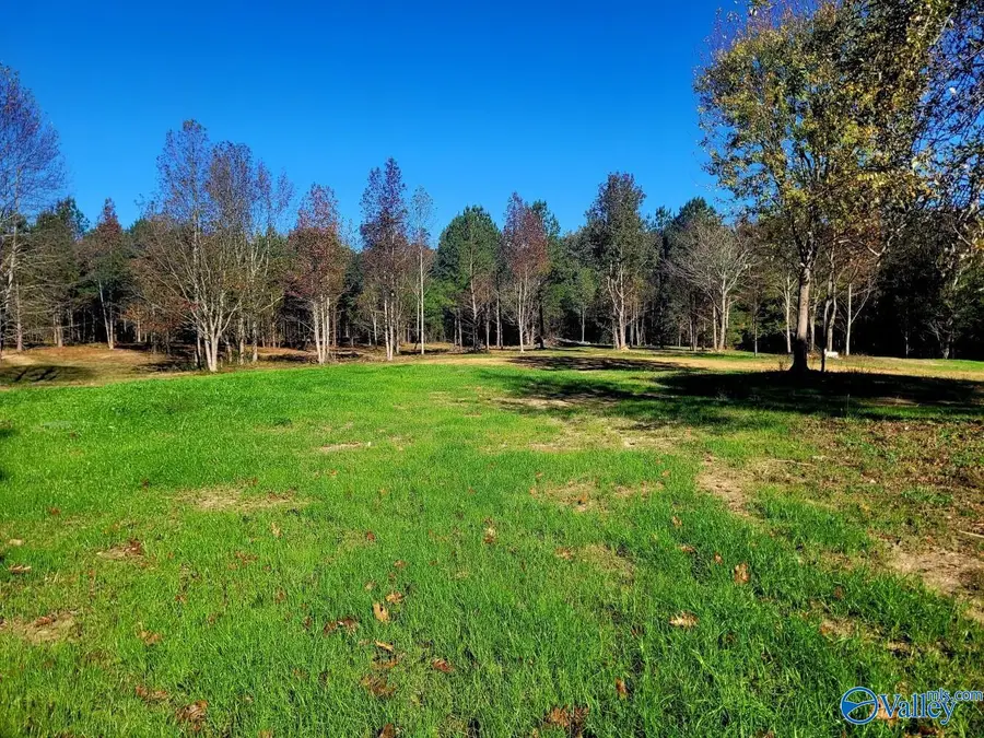 484 Naples Lane, Arab, AL 35016 - #3