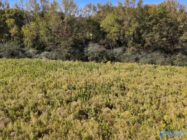 20 Acres Murphee Road, Eva, AL 35621