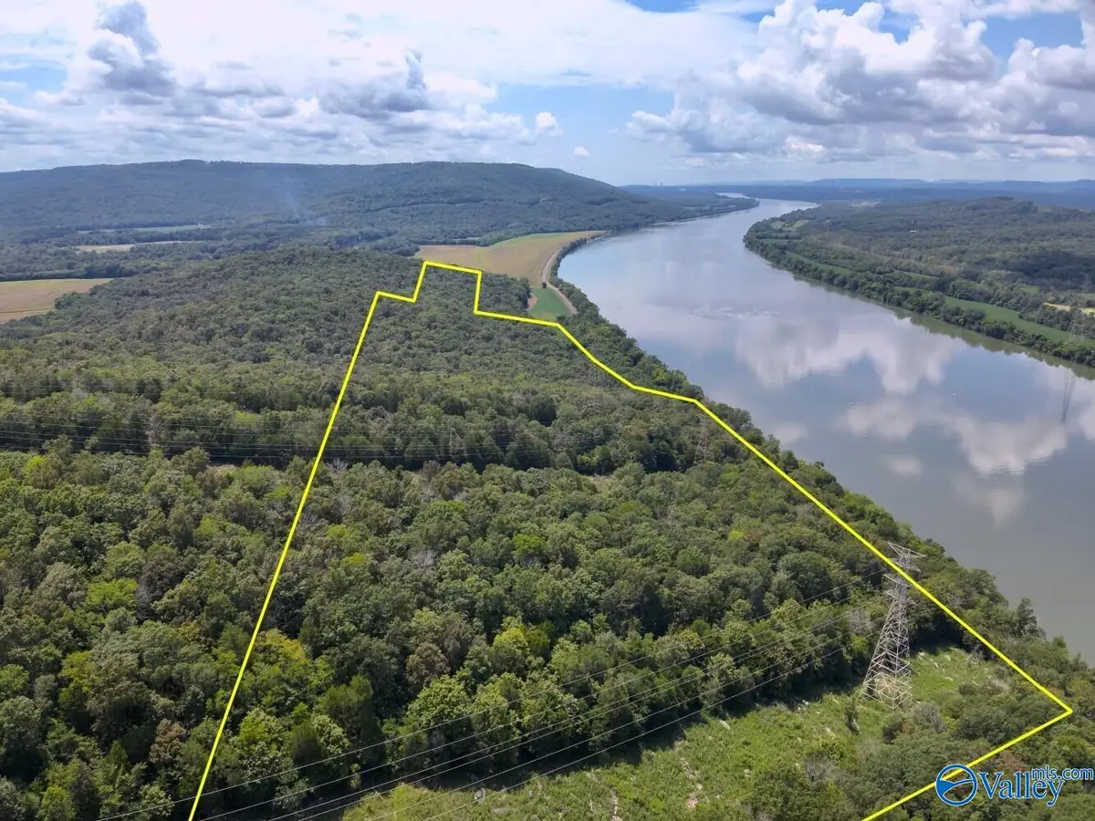 100 Acres County Road 91, Bryant, AL 35772 - #1