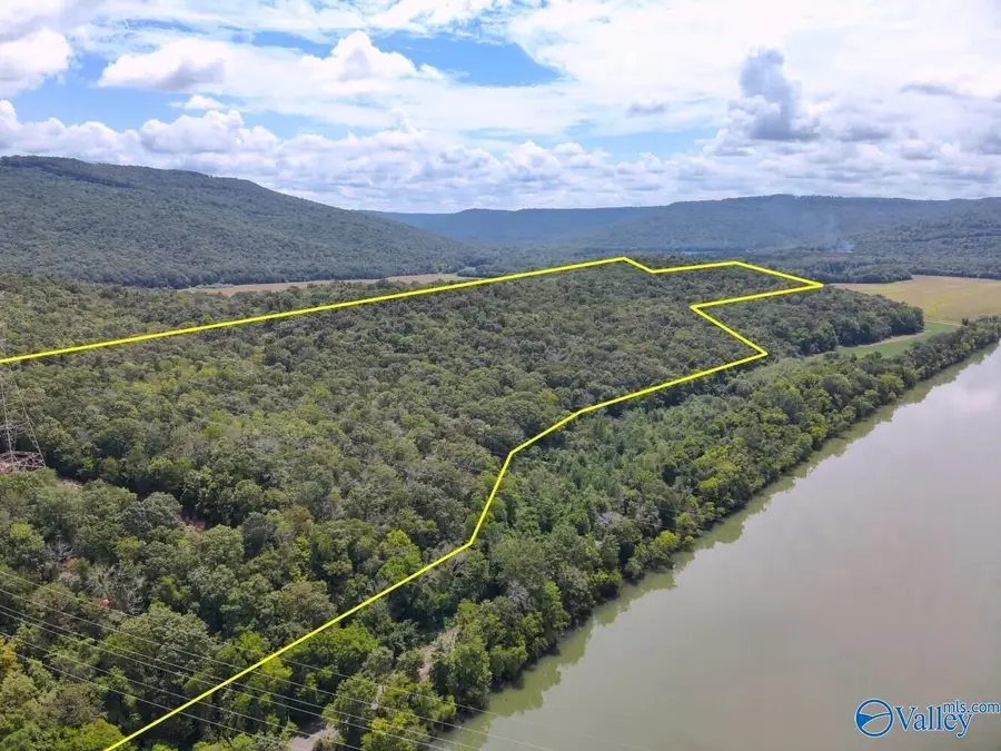 100 Acres County Road 91, Bryant, AL 35772 - #2