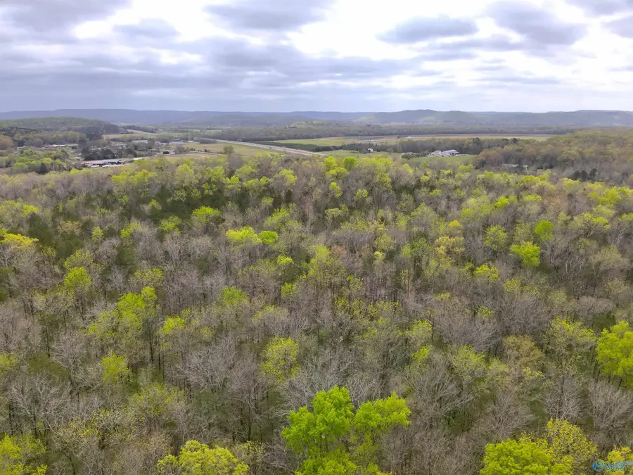 32 Acres Highway 72, Woodville, AL 35776 - #3