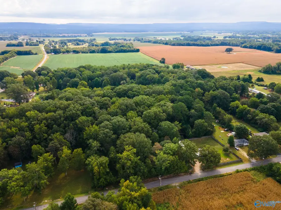 5.89 acres Joe Quick Road, New Market, AL 35761 - #2