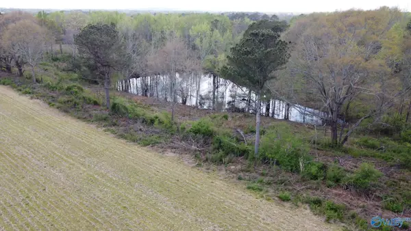 22.63 ACRES Walker Road, Boaz, AL 35956