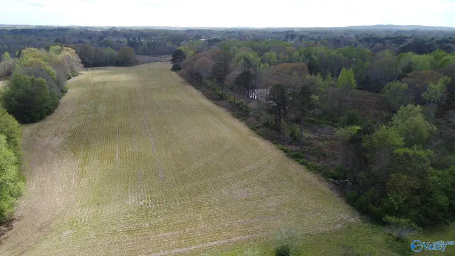 22.63 ACRES Walker Road, Boaz, AL 35956 - #2