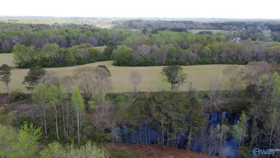 22.63 ACRES Walker Road, Boaz, AL 35956 - #3
