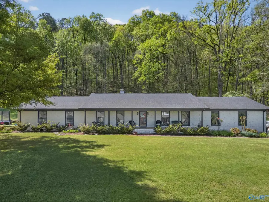 6496 Spring Creek Drive, Guntersville, AL 35976 - #2