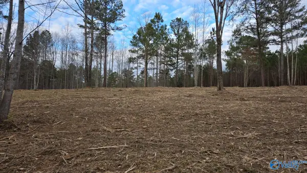 Lot 49 and 50 Lake View Drive, Mentone, AL 35984