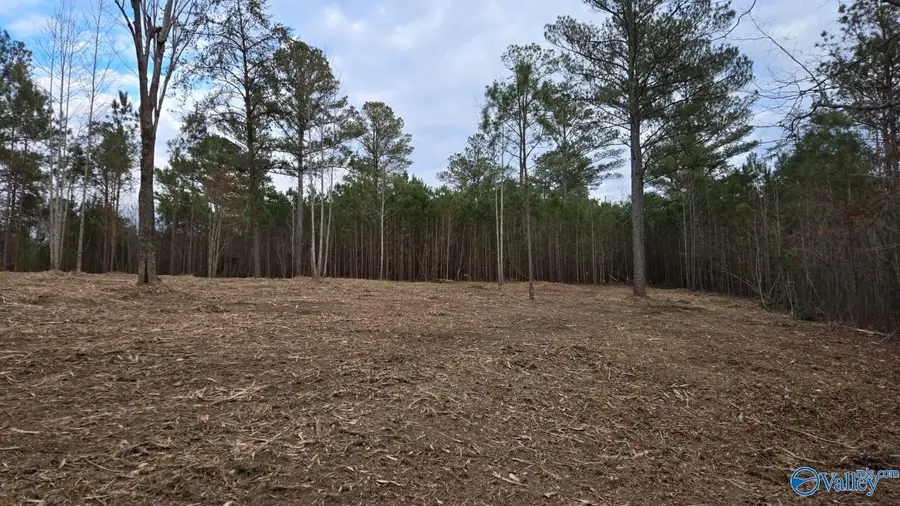Lot 49 and 50 Lake View Drive, Mentone, AL 35984 - #3