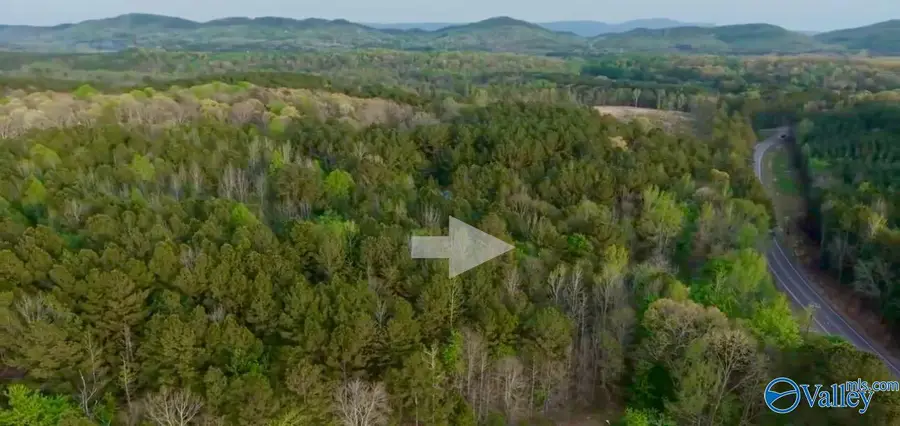 8313 Al Highway 35, Gaylesville, AL 35973 - #2