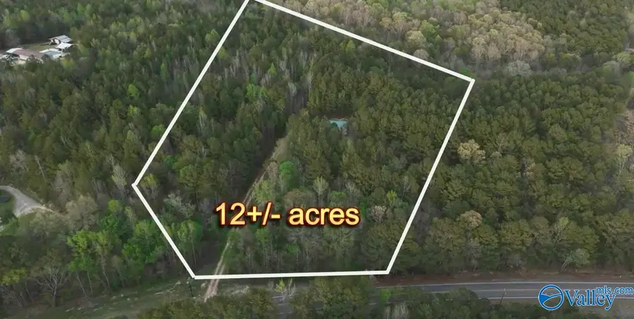 8313 Al Highway 35, Gaylesville, AL 35973 - #3