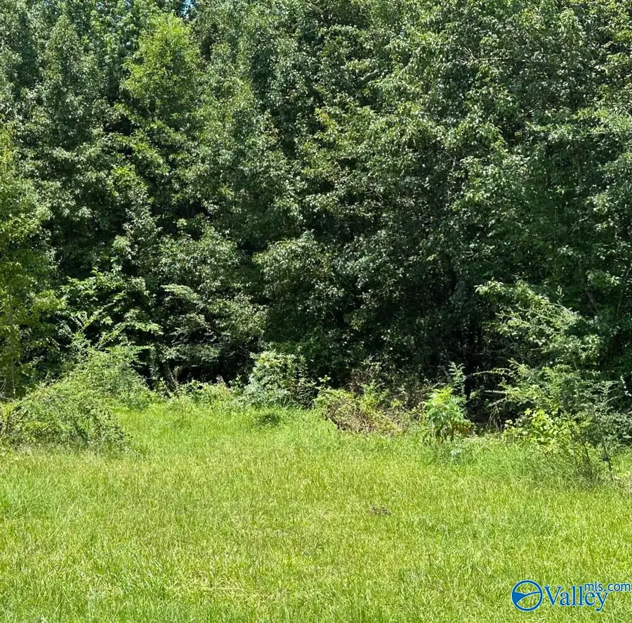 0.9 Acres Branch Cove Road, Odenville, AL 35120 - #2