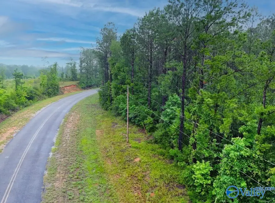 13.5 Acres County Road 338, Elba, AL 36323 - #2