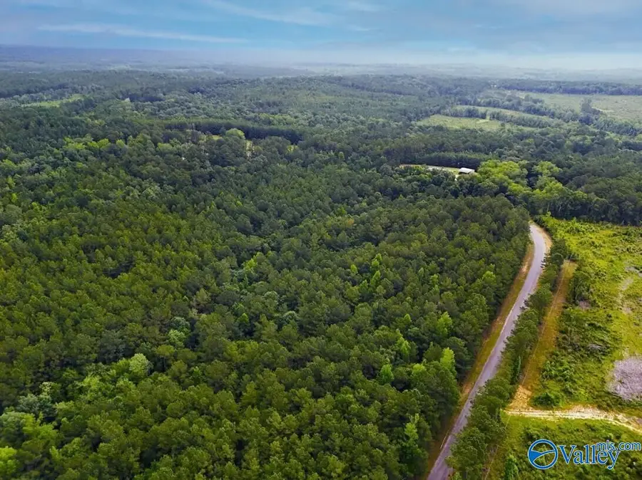 13.5 Acres County Road 338, Elba, AL 36323 - #3