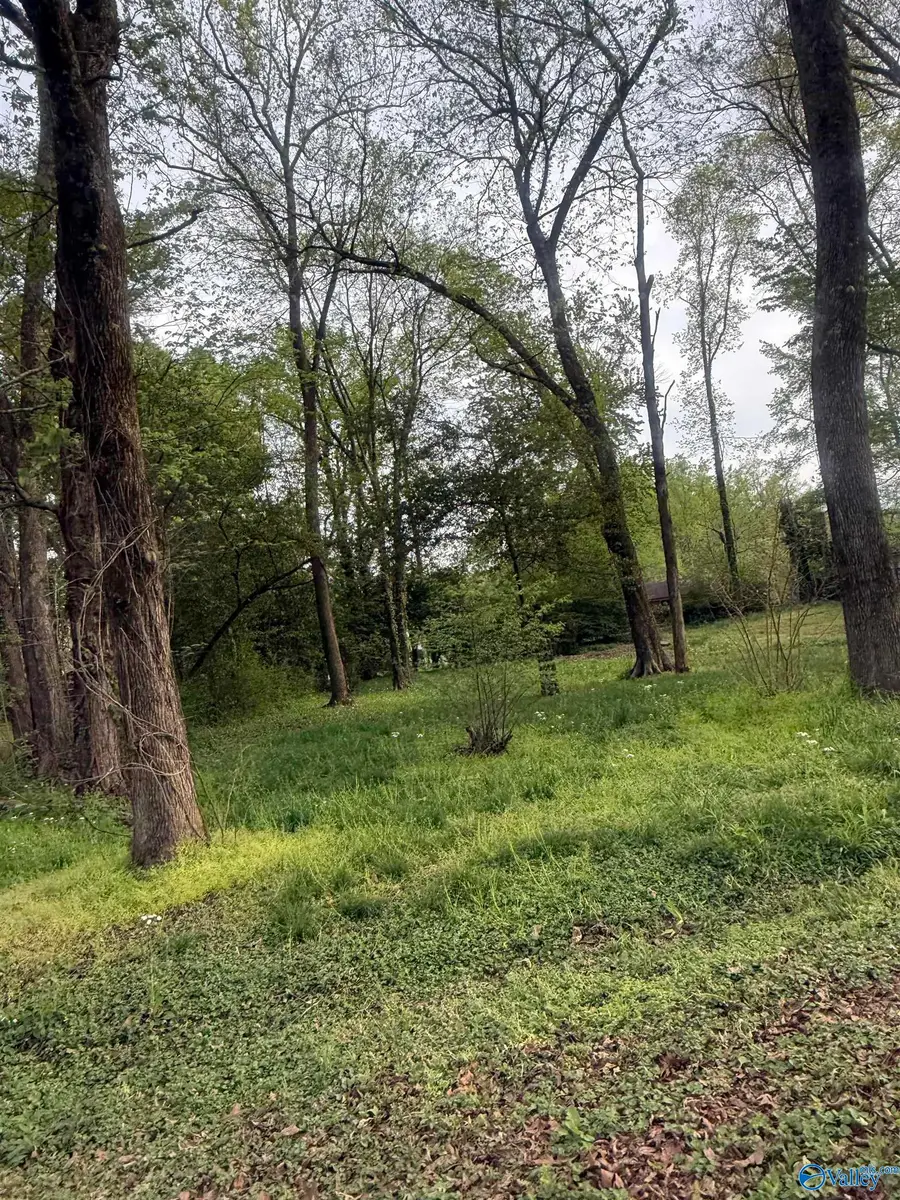 .31 10th Avenue, Arab, AL 35016 - #2