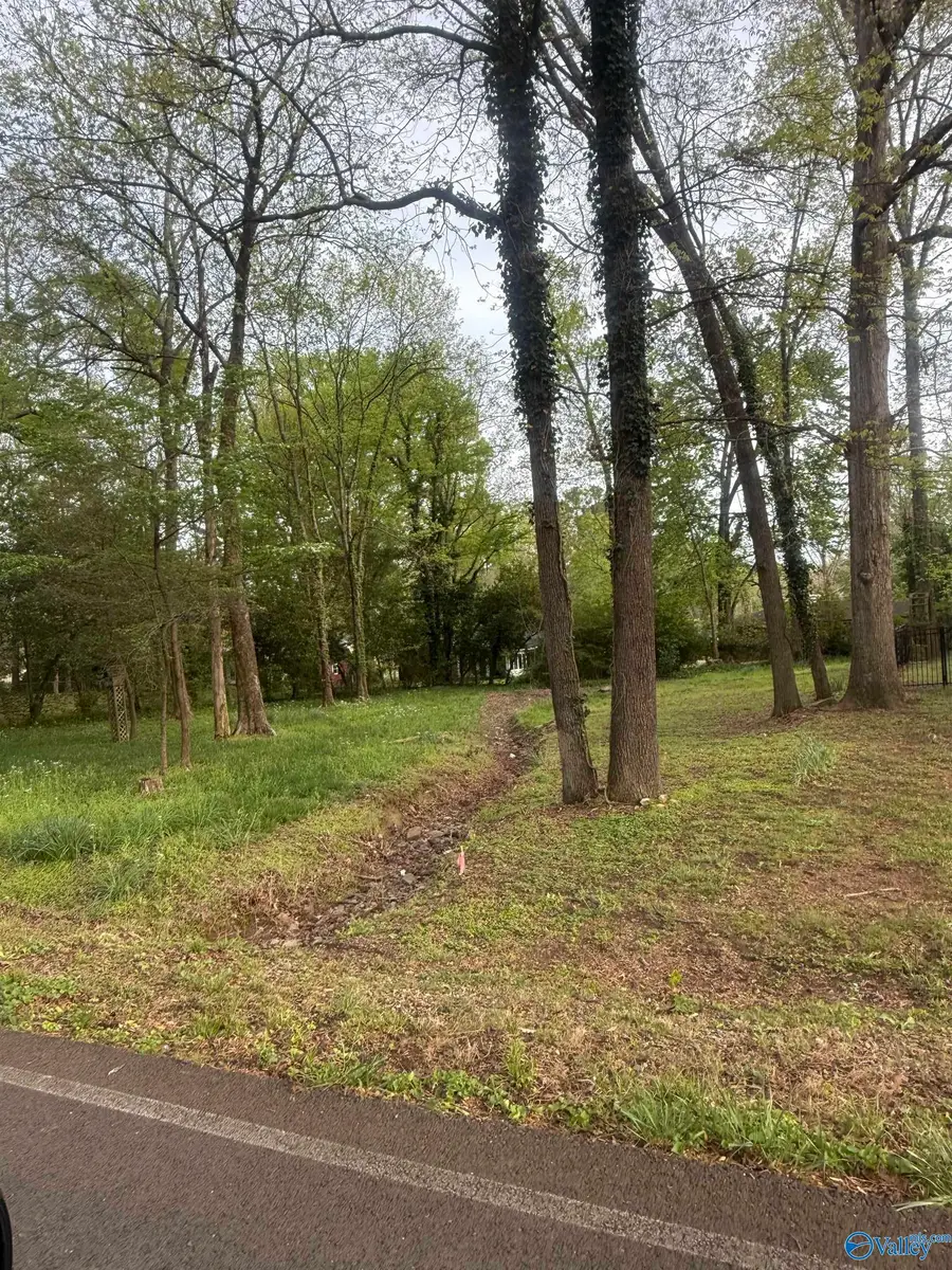 .31 10th Avenue, Arab, AL 35016 - #3