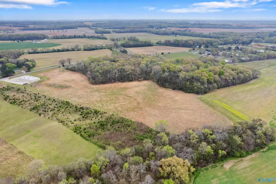 23.02 Acres Reid Road, Athens, AL 35611 - #2