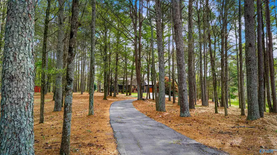 1142 Rainbow Avenue N, Rainsville, AL 35986 - #3