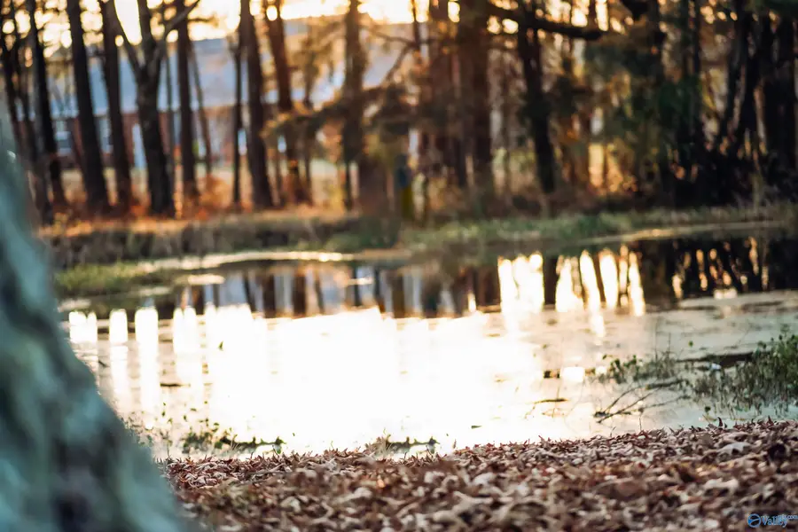 4691 Leeth Gap Road, Boaz, AL 35956 - #2