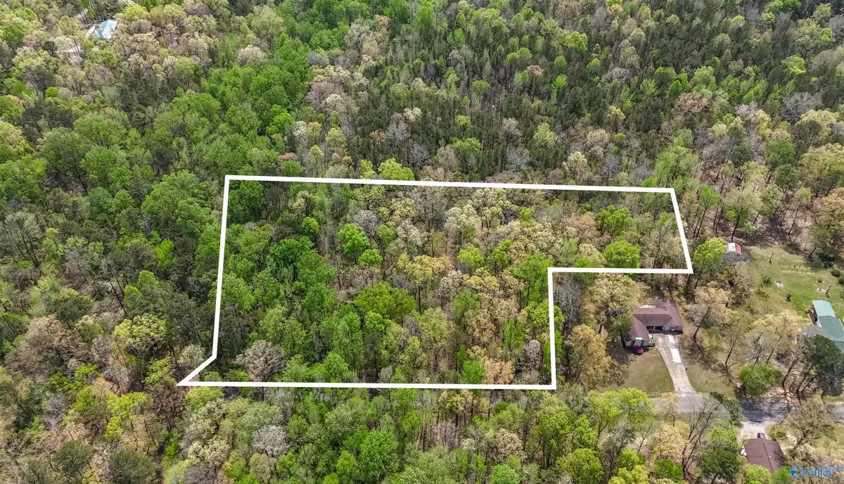 3.3 Acres Willow Street, Hamilton, AL 35570 - #1
