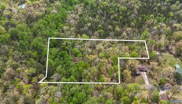 3.3 Acres Willow Street, Hamilton, AL 35570