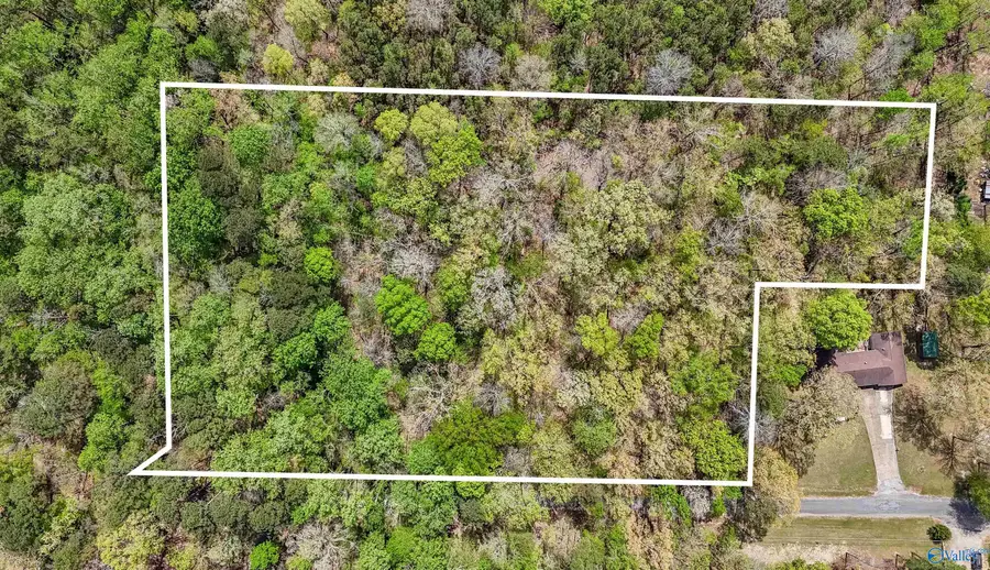 3.3 Acres Willow Street, Hamilton, AL 35570 - #2