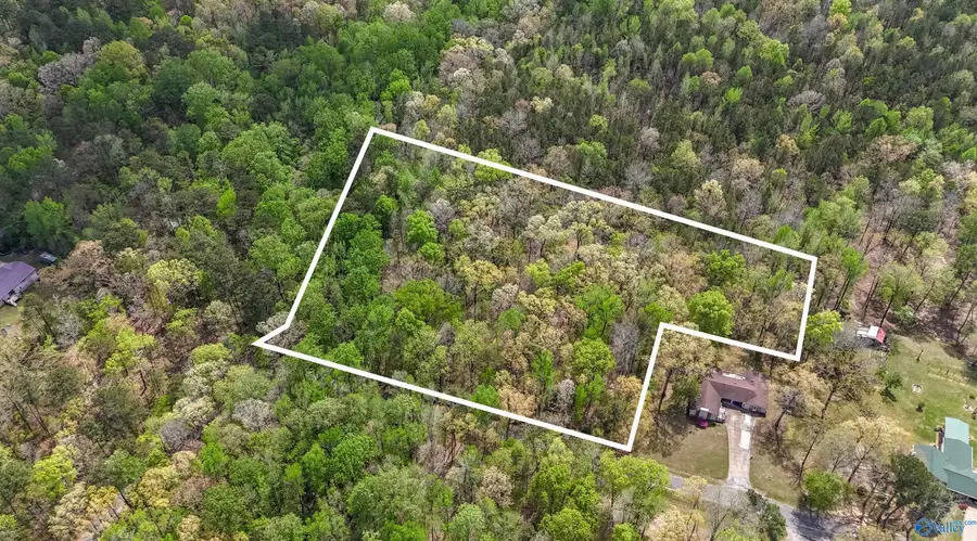 3.3 Acres Willow Street, Hamilton, AL 35570 - #3