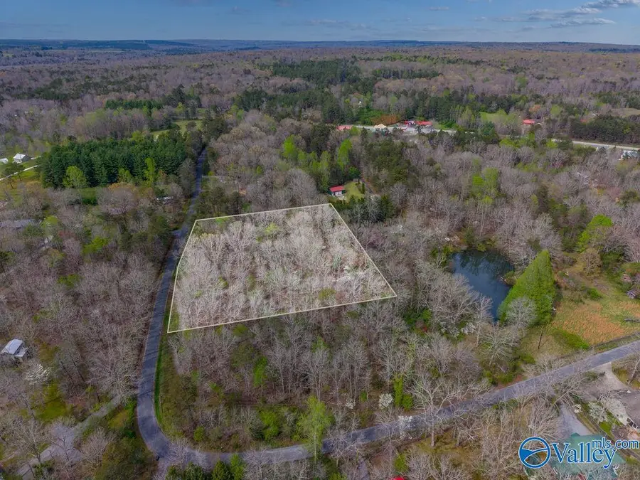 1.7 ACRES County Road 635, Mentone, AL 35984 - #2