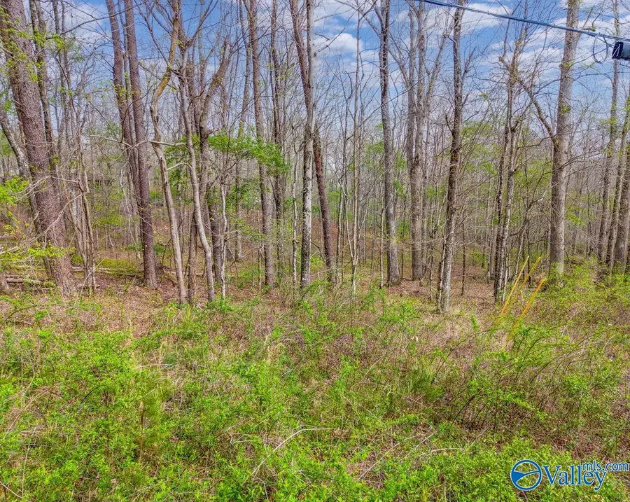1.7 ACRES County Road 635, Mentone, AL 35984 - #3