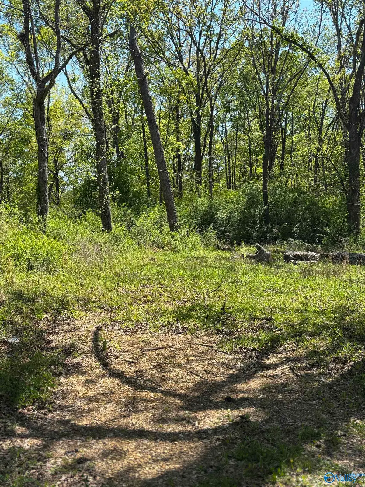 703B Agricola Drive, Gadsden, AL 35904 - #1