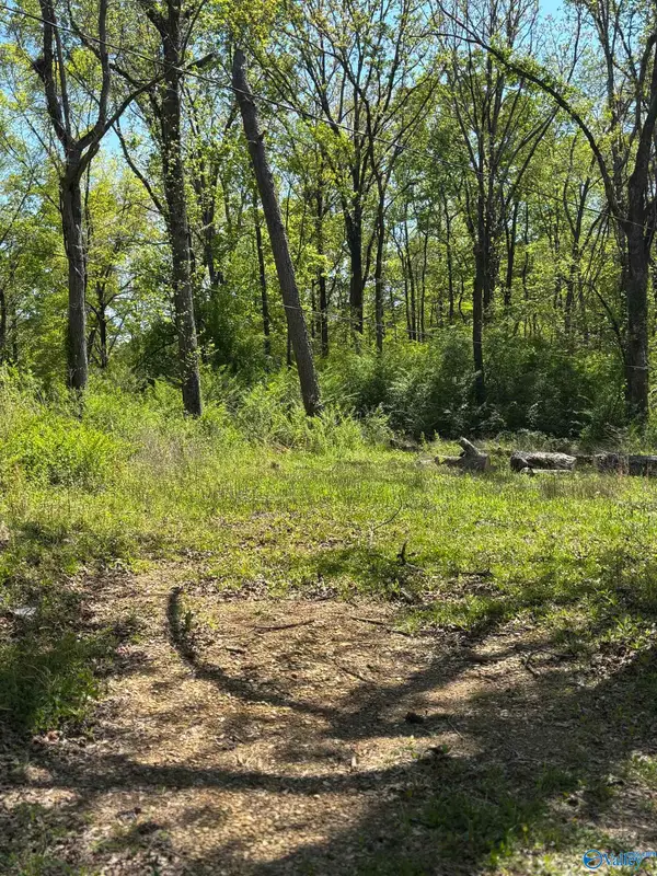 703B Agricola Drive, Gadsden, AL 35904