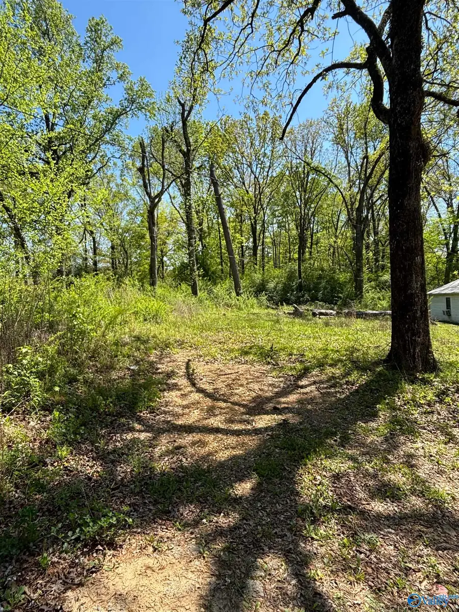 703B Agricola Drive, Gadsden, AL 35904 - #2