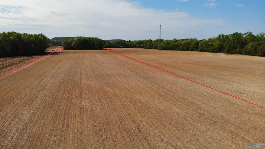 16120 E Alabama Highway 20, Town Creek, AL 35672 - #3