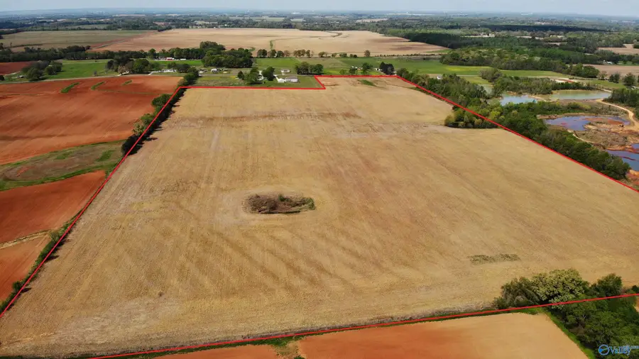 72 acres Hatton School Road, Leighton, AL 35646 - #3