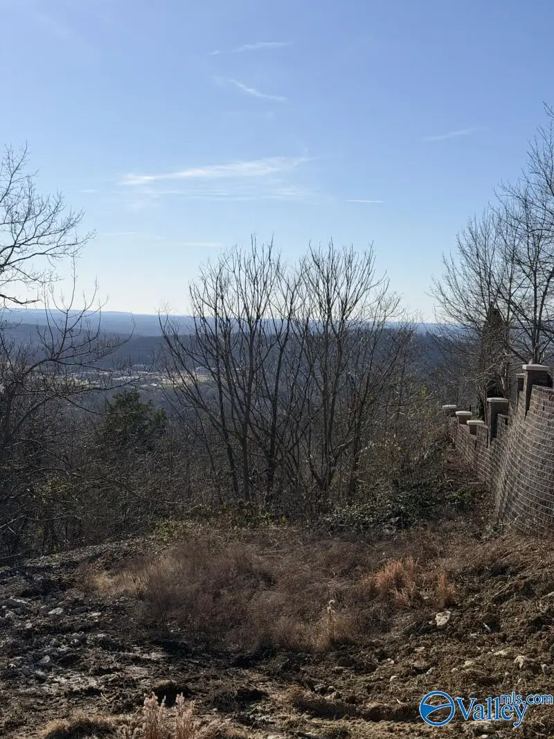 3030 Cliff Edge Circle Se, Huntsville, AL 35801 - #3