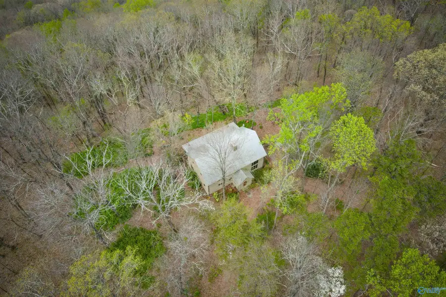 18739 County Road 89, Mentone, AL 35984 - #2