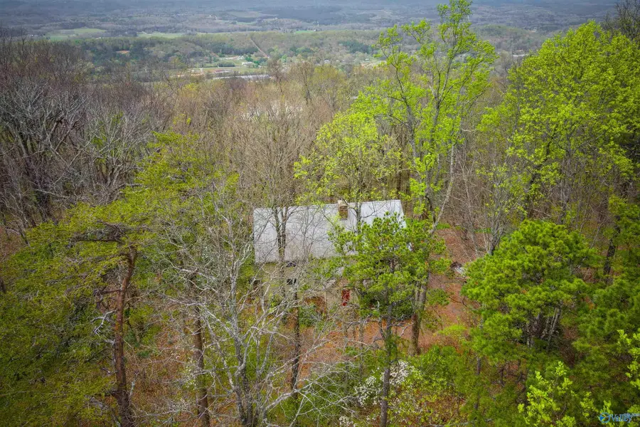 18739A County Road 89, Mentone, AL 35984 - #3