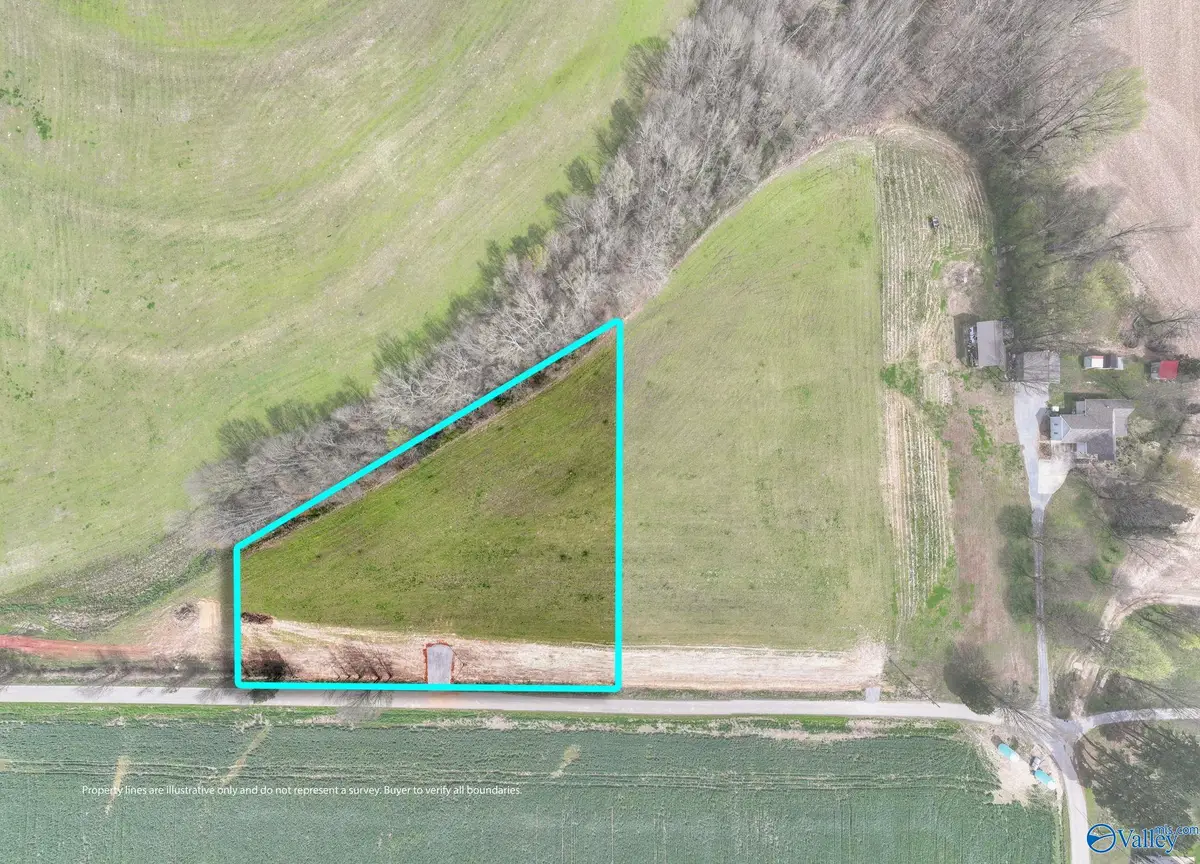 25634 W County Line Road, Anderson, AL 35610 - #1