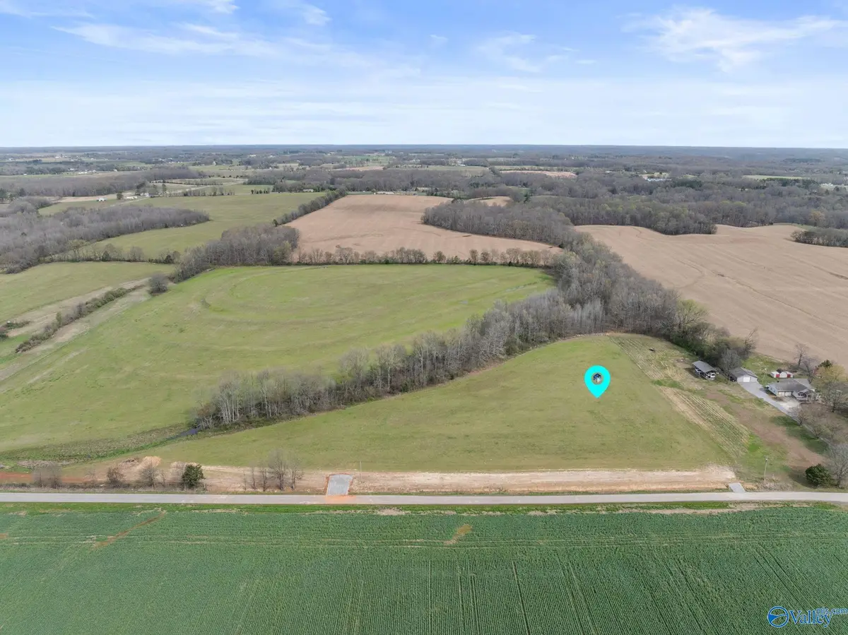 25568 W County Line Road, Anderson, AL 35610 - #1