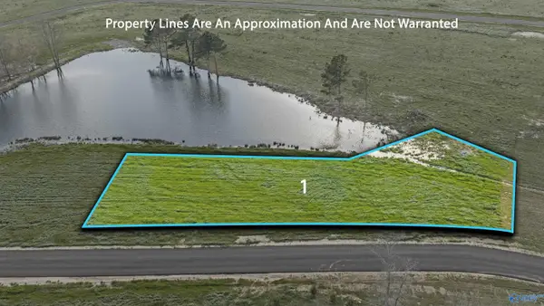 Lot 1 Garrett Street, Rainsville, AL 35986