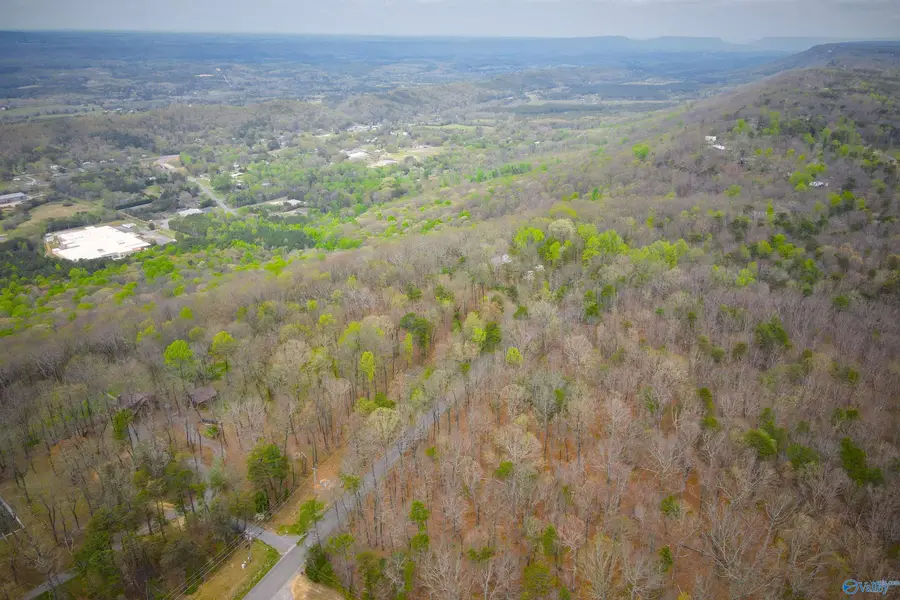 18739B County Road 89, Mentone, AL 35984 - #2