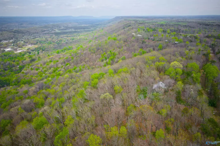 18739B County Road 89, Mentone, AL 35984 - #3