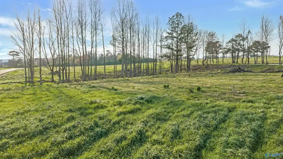 Lot 3 Garrett Street, Rainsville, AL 35986 - #3