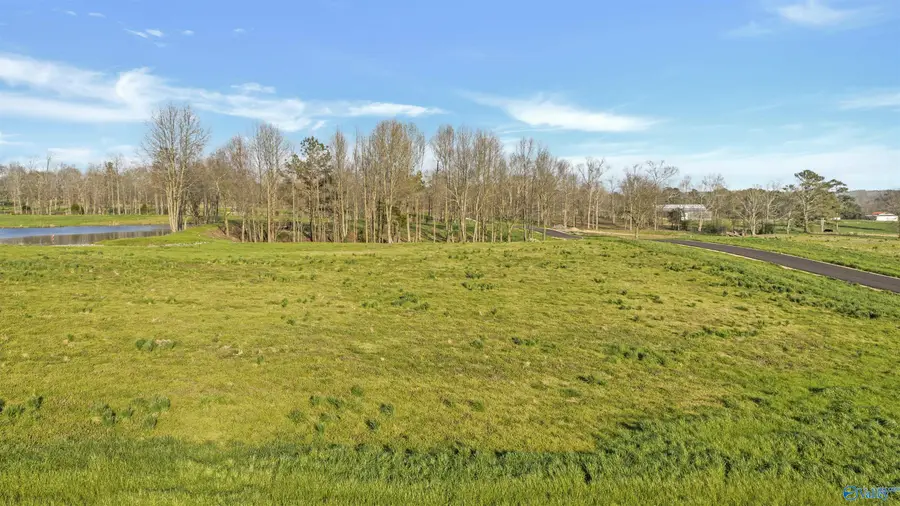 Lot 5 Garrett Street, Rainsville, AL 35986 - #2
