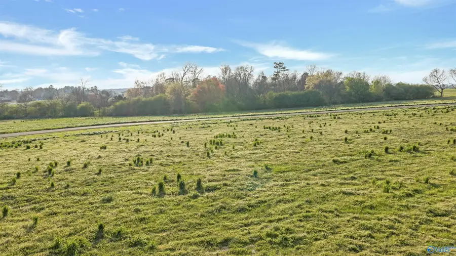 Lot 5 Garrett Street, Rainsville, AL 35986 - #3