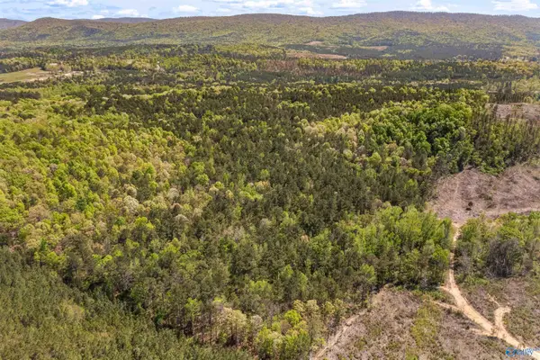 LOT 1 Pruitt Road, Piedmont, AL 36272