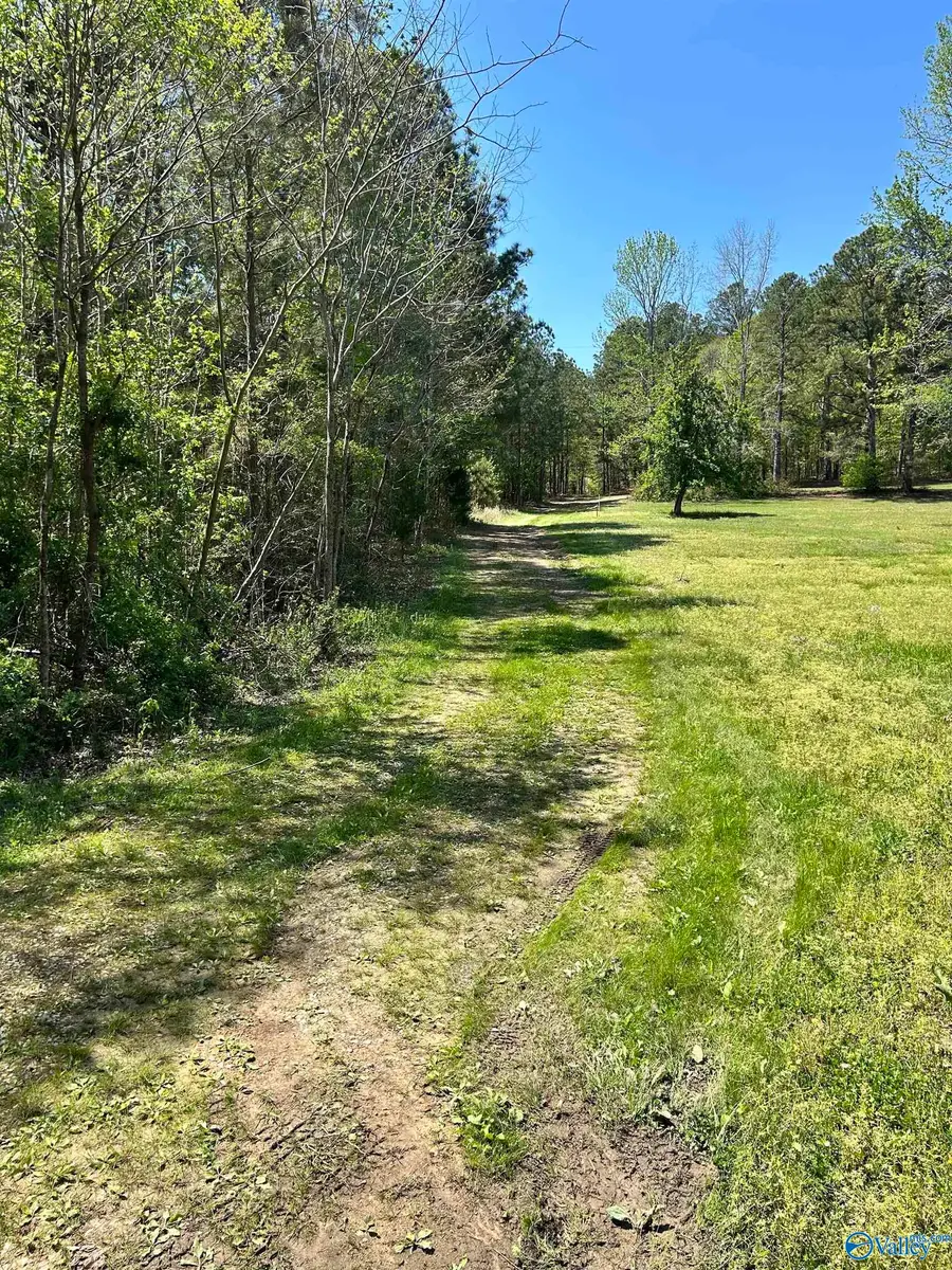 LOT 1 Pruitt Road, Piedmont, AL 36272 - #2